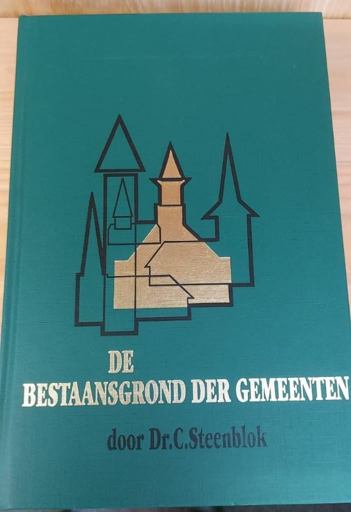 Dr. C. Steenblok Bestaansgrond GGinNed, Boeken, Nieuw, Christendom | Protestants, Ophalen of Verzenden, Dr. C. Steenblok