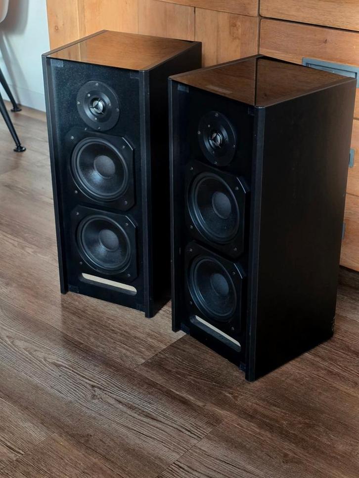 Audiolab Candor II CD (luidsprekers ), Audio, Tv en Foto, Luidsprekers, Gebruikt, Front, Rear of Stereo speakers, 60 tot 120 watt