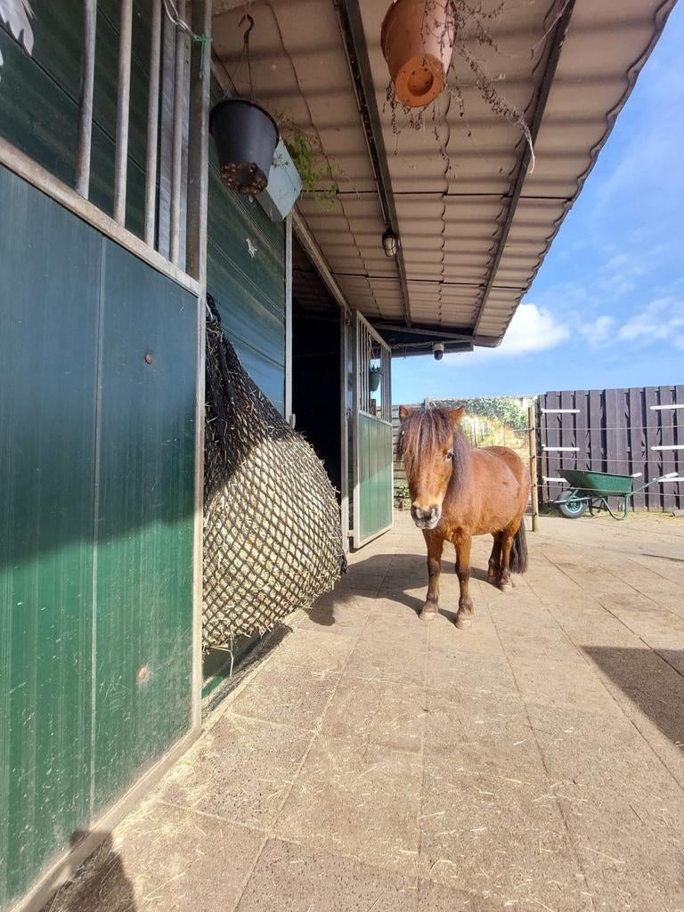 Shetlander en mini stalling, Dieren en Toebehoren, Stalling en Weidegang, Stalling, 1 paard of pony