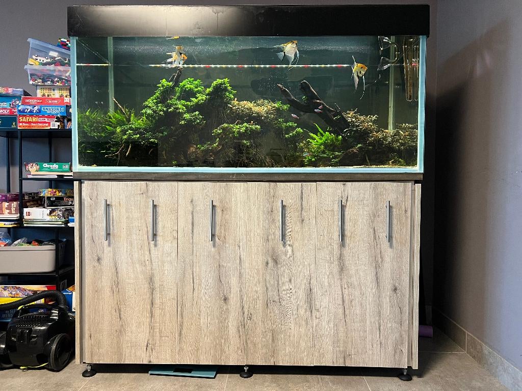 grote aquarium te koop, Ophalen, Gebruikt, Gevuld zoetwateraquarium