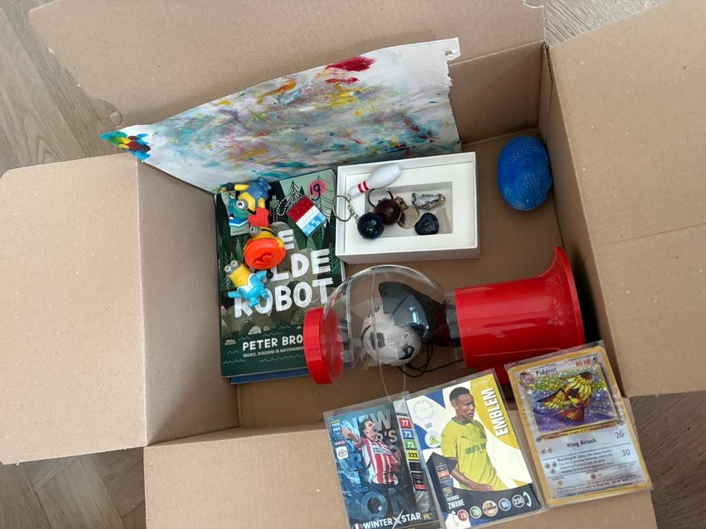 Mystery box boeken en speelgoed, Verzamelen, Speelgoed, Ophalen of Verzenden, Gebruikt