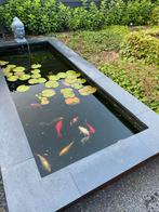 Vijver kunstof bak, Tuin en Terras, Ophalen, Gebruikt, Minder dan 200 cm, 200 tot 400 cm