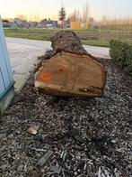 Zeer grote inlandse eik 430x100-120cm, Ophalen, Zo goed als nieuw, 250 cm of meer, Palen