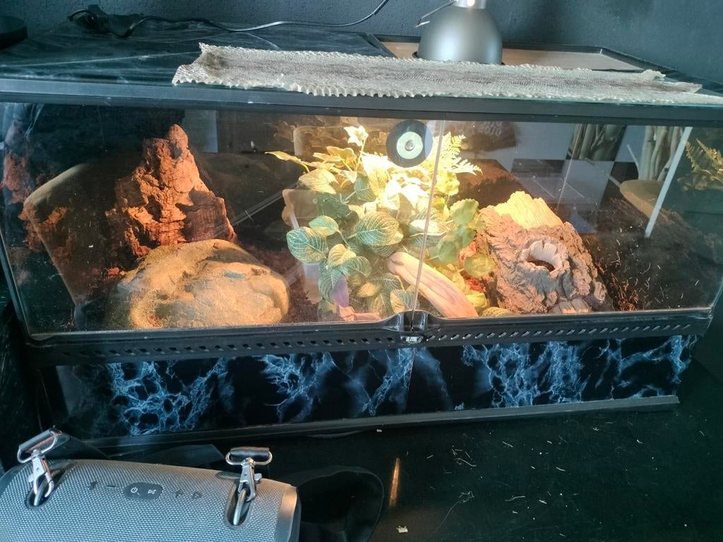 Exoterra terrarium, Dieren en Toebehoren, Reptielen en Amfibieën | Toebehoren, Ophalen