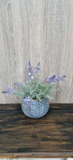 Kunst Lavendel in Pot, Binnen, ., Nieuw, Ophalen of Verzenden