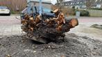 Boomstronk, Tuin en Terras, Haardhout, Minder dan 3 m³, Ophalen, Stammen