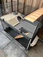 Knaagdierenhok dubbel groot, Dieren en Toebehoren, Ophalen, Kooi, Gebruikt, 90 cm of meer