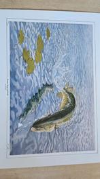 Ad Swier "Green, Lean and Irish" helaas beschadigd, Antiek en Kunst, Ophalen