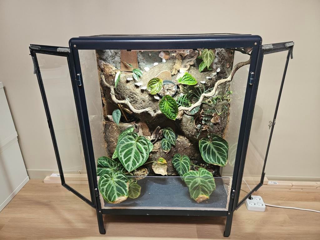 Greenhouse/Planten kast (kas), Ophalen, 25 tot 50 cm, 50 tot 100 cm, Minder dan 100 cm