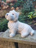 Betonnen hond beeld  west highland terrier, Ophalen