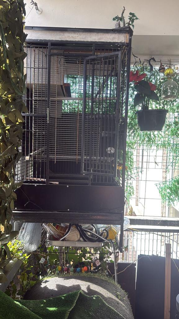 Vogelkooi, Dieren en Toebehoren, Vogels | Hokken en Kooien, Ophalen, Gebruikt, Metaal, Vogelkooi