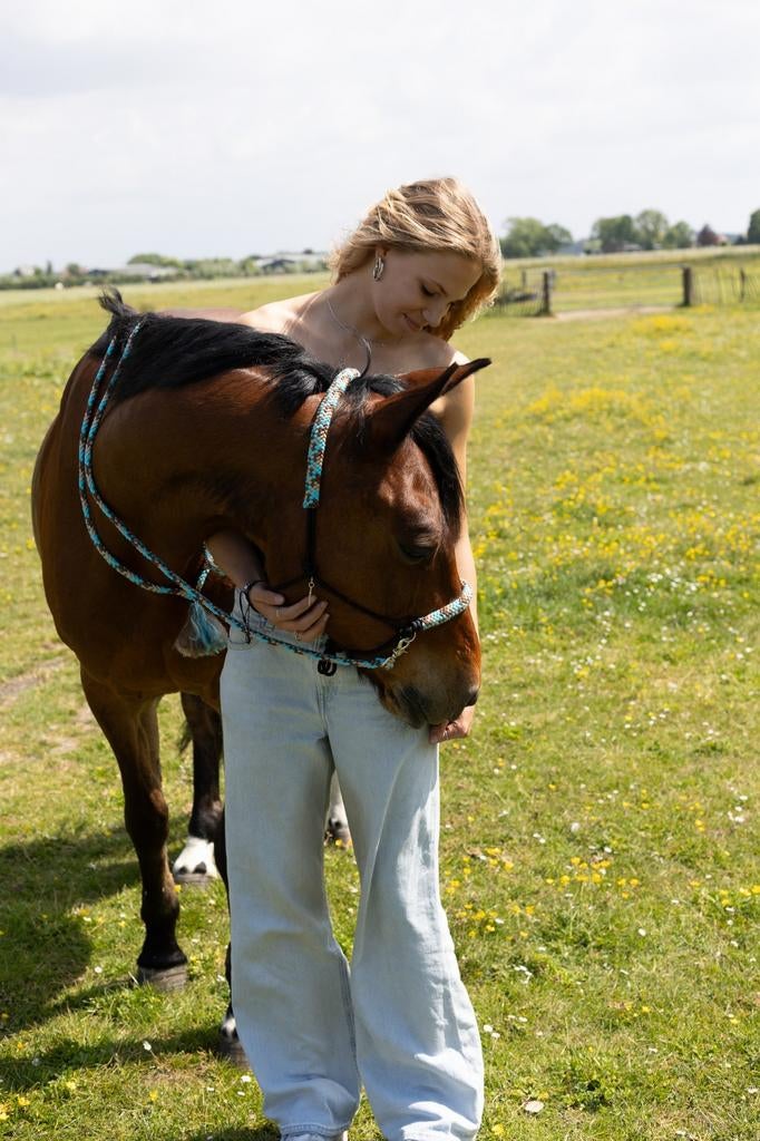 Verzorgpaard/pony gezocht bijrijder aangeboden, Dieren en Toebehoren, Ophalen of Verzenden, Nieuw