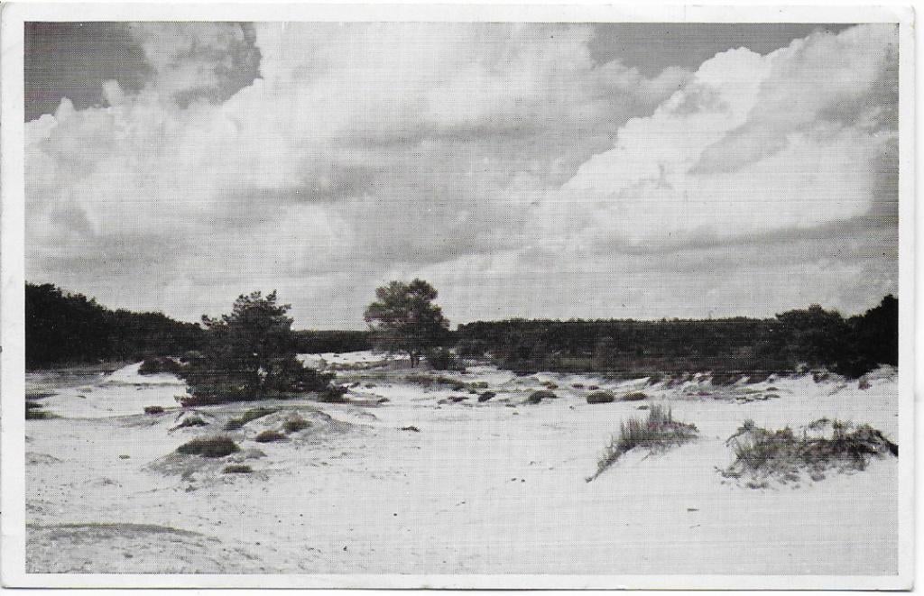 Ginkelduin Stuifduinen Oude Gelopen Ansichtkaart (B1116 ), Ophalen of Verzenden, 1960 tot 1980, Gelopen