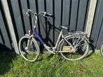 Damesfiets Batavus Intermezzo Supreme, Ophalen, Batavus, Versnellingen, 53 tot 56 cm