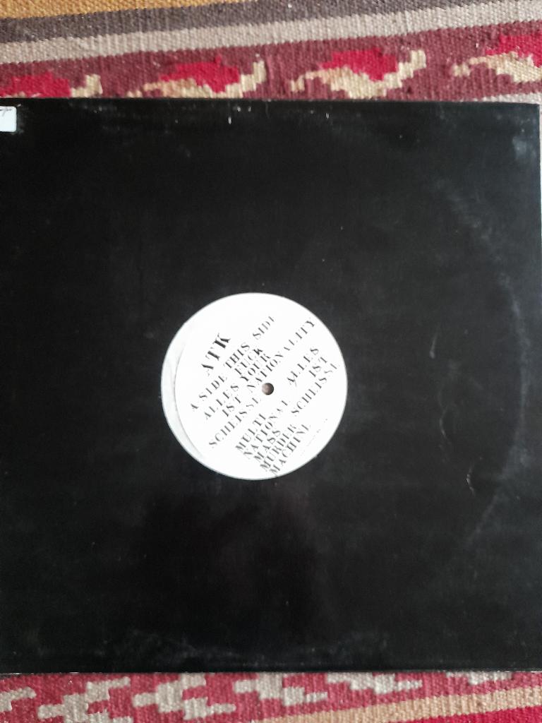 Anarchistisch Tekno Kollektief- Alles Ist Sheisse 12 inch, Ophalen of Verzenden, Zo goed als nieuw, 12 inch, Poprock