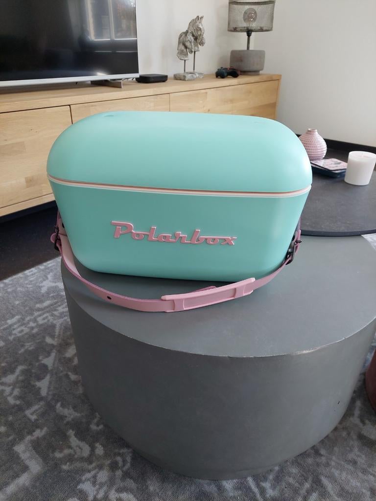 Polarbox, koelbox, Caravans en Kamperen, Ophalen of Verzenden, Koelbox, Koelelement