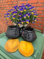 Cavallo hoefschoenen regular maat 5 met inlegzooltjes, Ophalen of Verzenden, Zo goed als nieuw