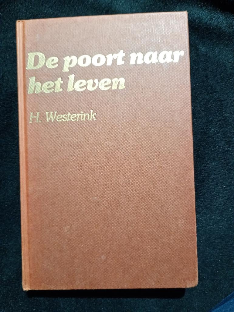H. Westerink, De poort naar het leven, Ophalen of Verzenden, Gelezen
