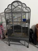 Agapornis Dwergpapegaai, Vogelkooi, Ophalen, Metaal, Vogelkooi