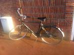 Herenfiets standaard., 53 tot 57 cm, Ophalen, Gebruikt, Batavus