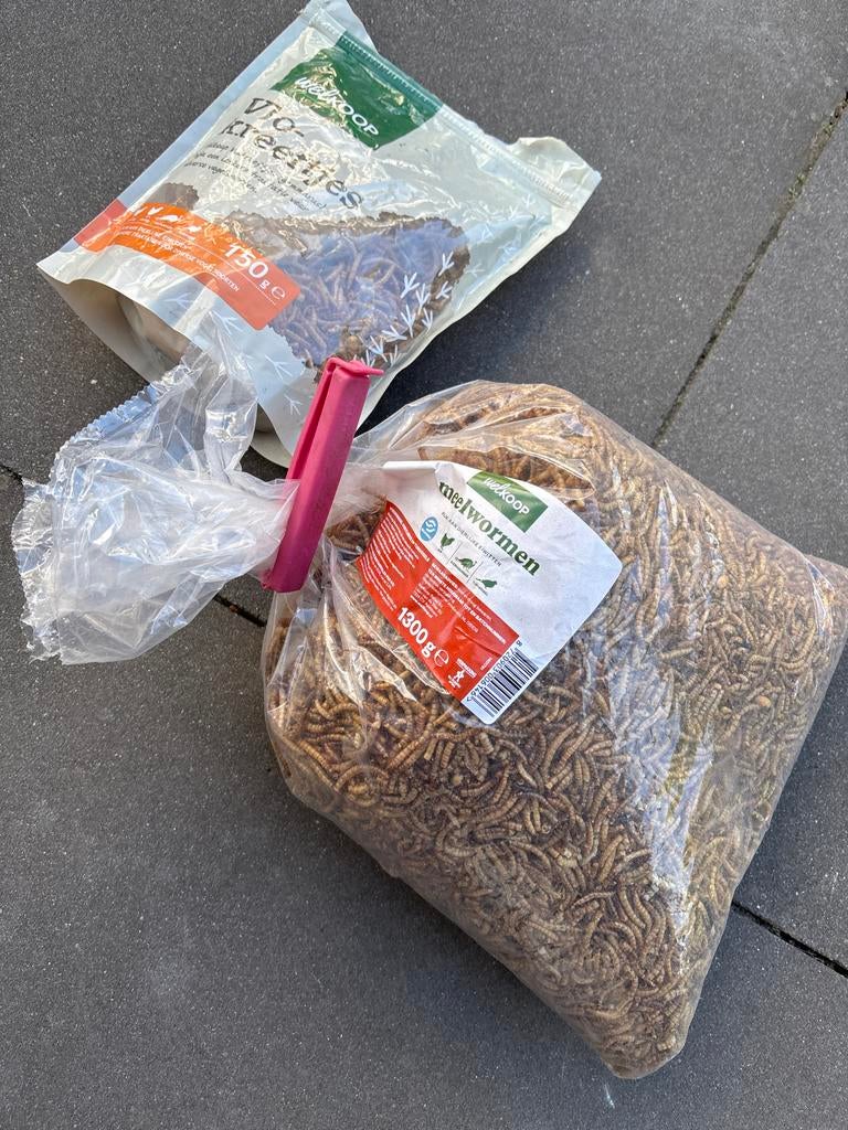 Meelwormen, Ophalen, Pluimvee