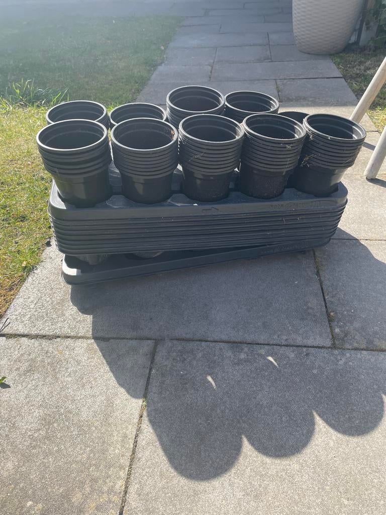 Kweekspullen en zaden voor moestuin, Ophalen of Verzenden