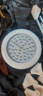 Complete Kweektent Set - Ideaal voor Thuis Kweken, Ophalen of Verzenden, Gebruikt, Kweektent