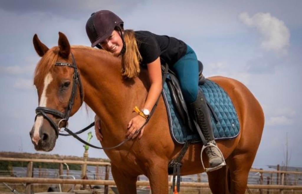 Lieve pony te lease, Diensten en Vakmensen, Dieren | Paarden | Verzorging, Oppas en Les, Paardrijles of Ponykampen, Verzorging of Verzorgpony's