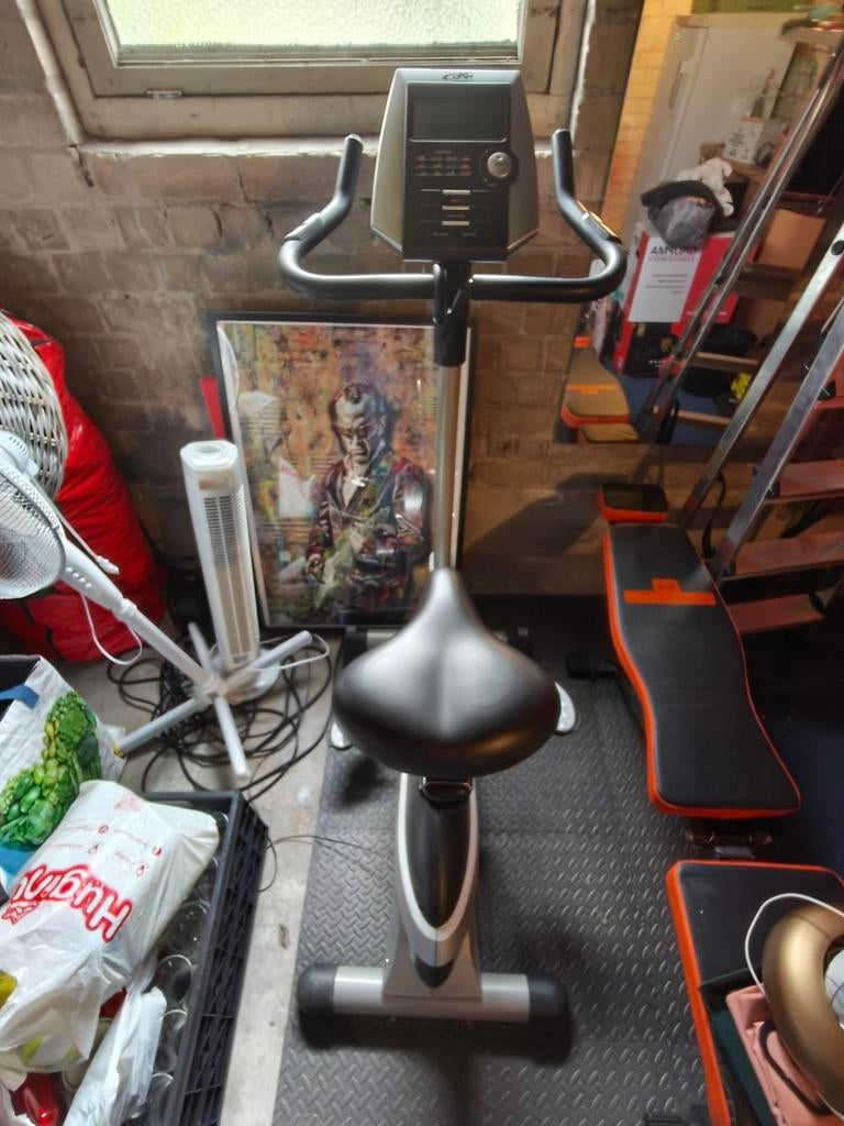 Hometrainer DKN Concept Sport, Sport en Fitness, Ophalen, Gebruikt, Metaal, Benen