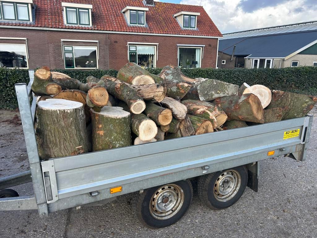 Haardhout, ruim 3 kuub Amerikaanse Eik, schitterend hout, Tuin en Terras, Haardhout, 3 tot 6 m³, Ophalen of Verzenden