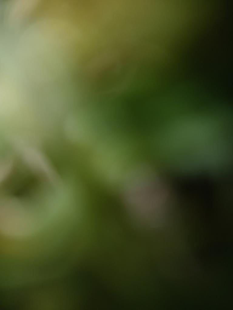 Verhuis dozen nodig, Contacten en Berichten, Advies en Oproepen