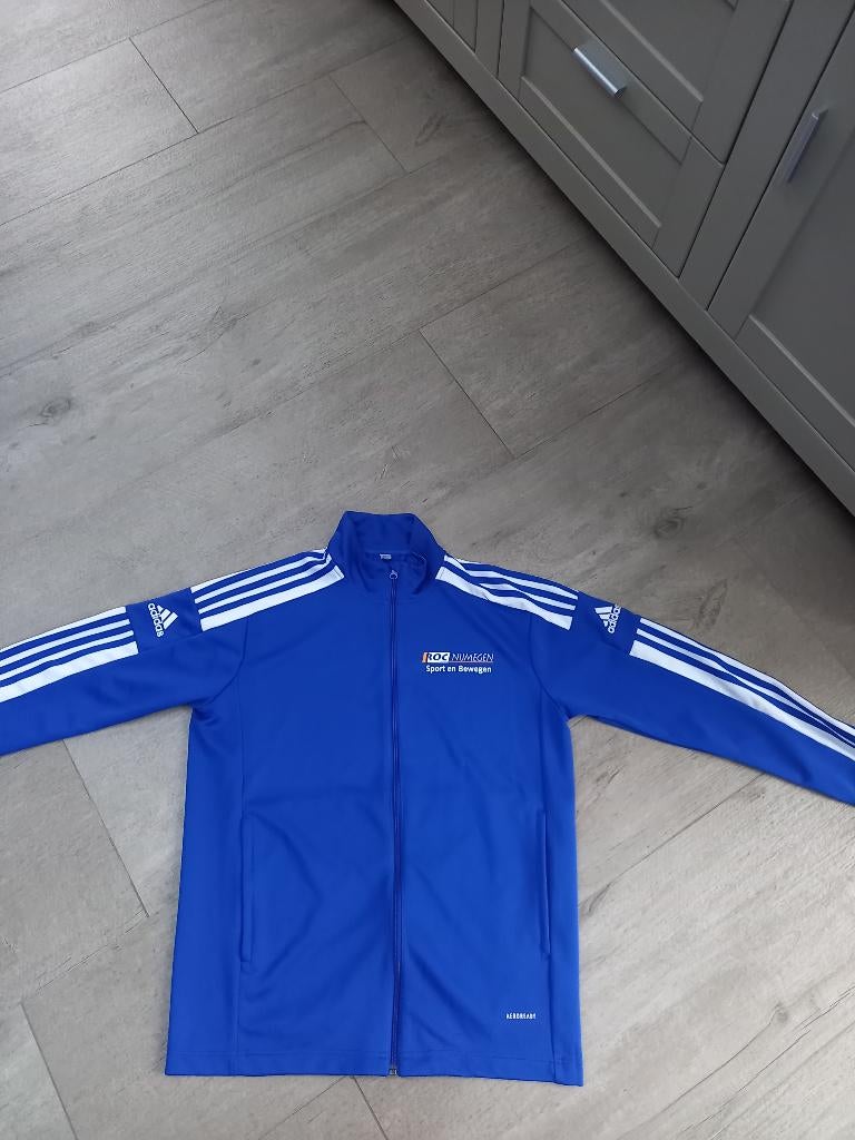 SPORTJASJE KLEUR BLAUW, Maat 52/54 (L), Blauw, Ophalen of Verzenden, Zo goed als nieuw