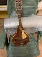 Vintage Höfner mandoline, Gebruikt, Ophalen, Gebruikt, Overige typen
