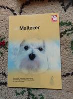 Boek: De Maltezer, Ophalen of Verzenden