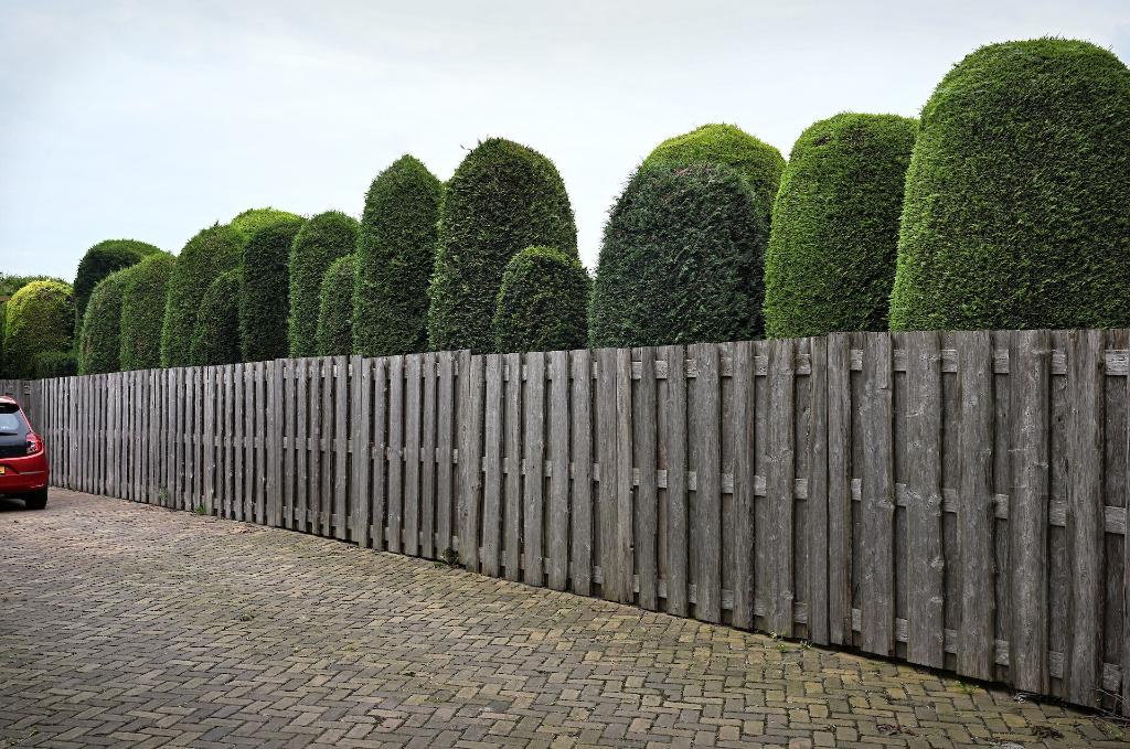 Gevraagd: Schutting 1,80 tot 2,00 meter hoog, Tuin en Terras, Schuttingen, Ophalen, 6 meter of meer, Hout, 1 tot 2 meter