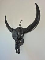 Zwarte waterbuffel schedel glas decoratie, Ophalen of Verzenden, Nieuw, Overige soorten, Schedel