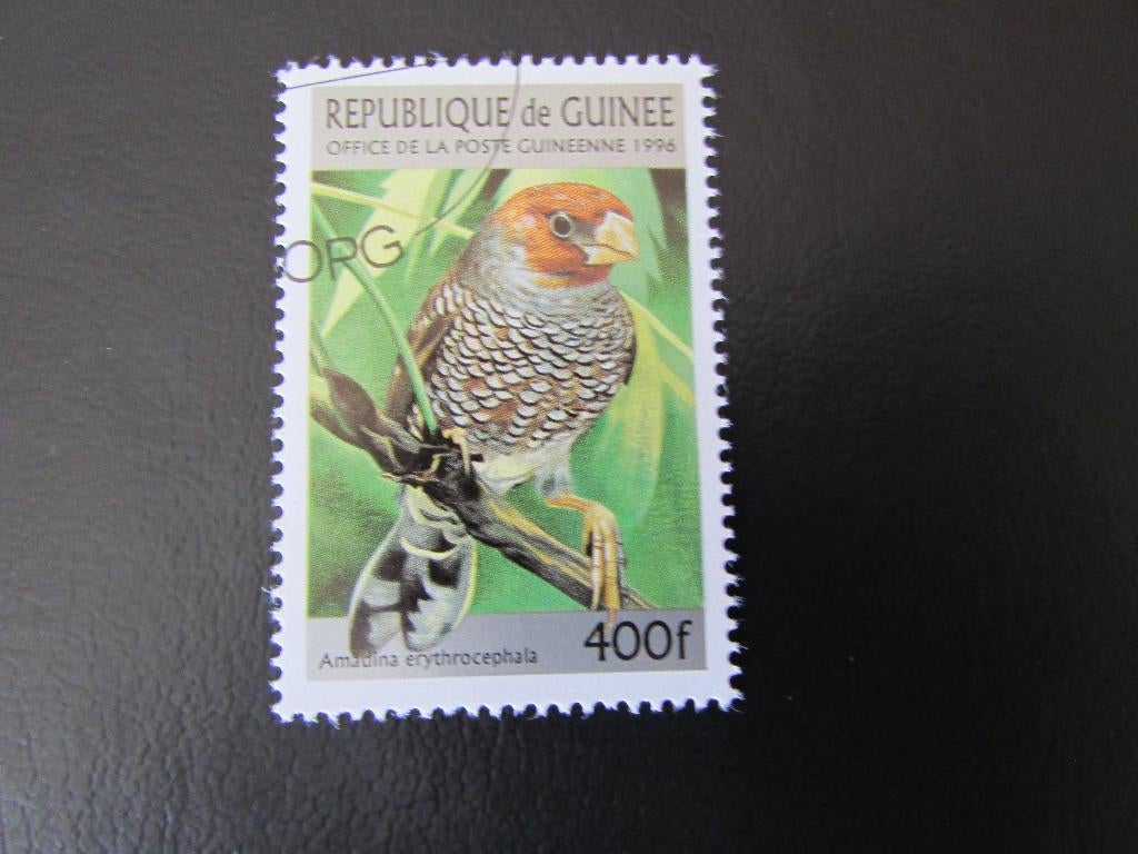 Postzegel Vogel: Roodkop-Amadine uit Guinee, Ophalen of Verzenden, Gestempeld, Dier of Natuur