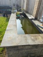 Complete vijver met pomp, filter, lamp en eventueel vissen, Ophalen, Gebruikt