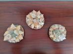 Voor Souvenirwinkels. Mandje met schelpen € 0,35 per stuk, Verzamelen, Mineralen en Fossielen, Ophalen of Verzenden, Schelp(en)