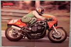 Poster Gerard Flameling Kampioen Formuleklasse, Verzenden, Zo goed als nieuw, Motoren