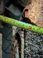 3 grote eikem blokken voor 100 euro !!!, Minder dan 3 m³, Ophalen, Eikenhout, Blokken