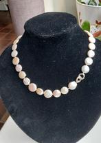 Prachtig nieuw geknoopt wit zoetwater pastille Parel snoer, Sieraden, Tassen en Uiterlijk, Kettingen, Wit, Nieuw, Ophalen of Verzenden