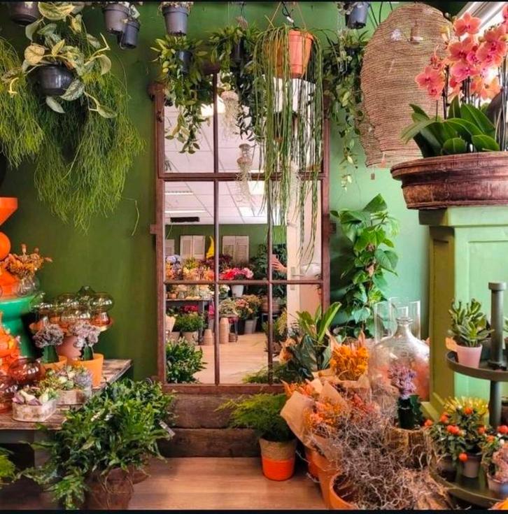 Ook zo'n mooie spiegel? Kies en Bestel hem hier!, Huis en Inrichting, Woonaccessoires | Spiegels, Nieuw, Rechthoekig, Ophalen of Verzenden