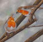 schilderij roodborstjes met lijst -eigen werk - vogels vogel, Ophalen of Verzenden