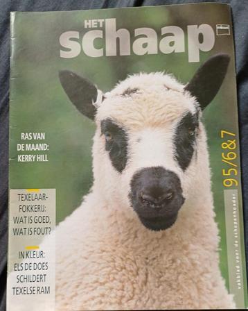 Maandblad het Schaap meer dan 19 jaargangen beschikbaar voor biedingen