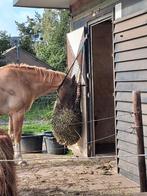 Voerhulp gezocht, Dieren en Toebehoren