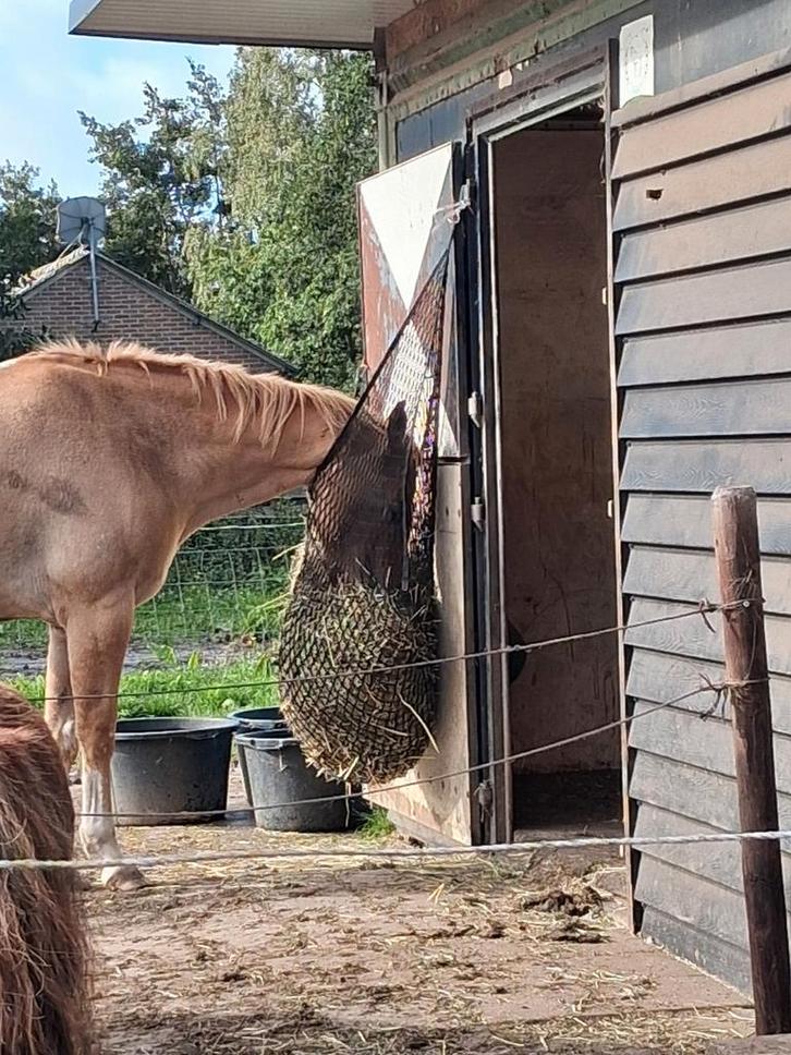 Voerhulp gezocht, Dieren en Toebehoren, Stalling en Weidegang
