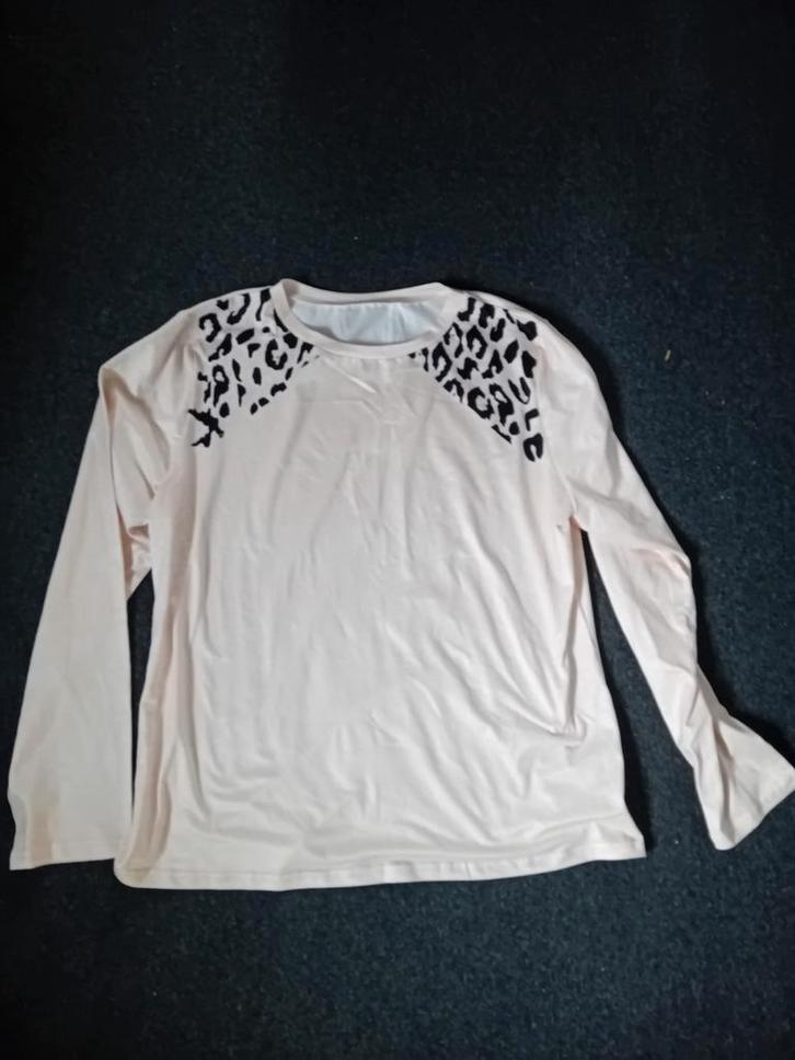 Nieuwe dunne trui - Maat XL, Kleding | Dames, Truien en Vesten, Nieuw, Maat 46/48 (XL) of groter, Ophalen of Verzenden