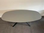 Deens ovale eettafel Forbo Desktop Ash 200x100, 100 tot 150 cm, 200 cm of meer, Ophalen of Verzenden, Zo goed als nieuw