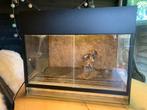 Mooi Paludarium van dutch rana starter, Dieren en Toebehoren, Reptielen en Amfibieën | Toebehoren, Ophalen, Gebruikt, Terrarium of Paludarium